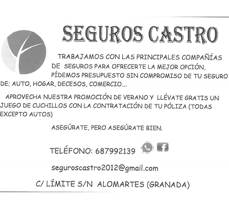 seguroscastro
