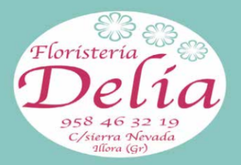 Floristeria delia
