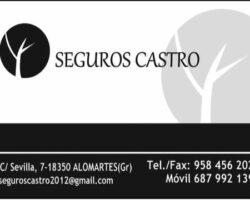 seguros castro